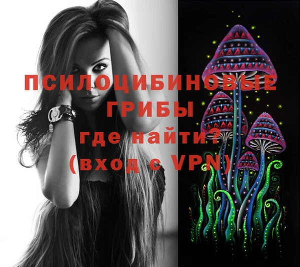 ПСИЛОЦИБИНОВЫЕ ГРИБЫ Армянск