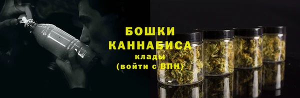 ПСИЛОЦИБИНОВЫЕ ГРИБЫ Армянск
