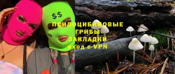 ПСИЛОЦИБИНОВЫЕ ГРИБЫ Армянск
