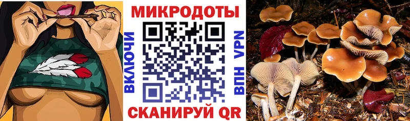 Галлюциногенные грибы Cubensis  Ленск 